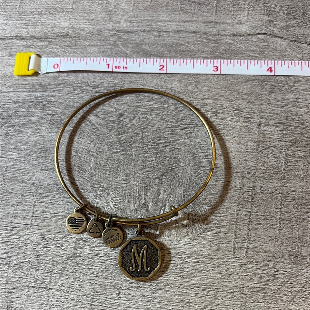 Alex and Ani Letter M Charm Bangle
